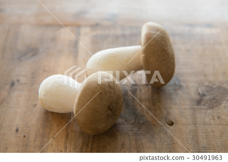 蘑菇Kyotanba Daikoku Shimeji 蘑菇Kyotanba Daikoku Shimeji 30491963