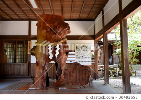 Itama Giso Shrine, Kumagata Kuri 30492653