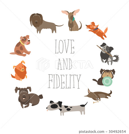 Set of funny Mixed Breed dogs 30492654