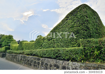 龜武士住宅小組 30493019