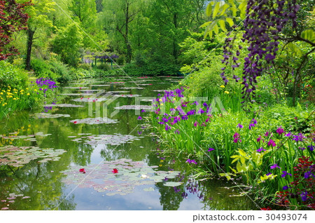 Monet's garden 30493074