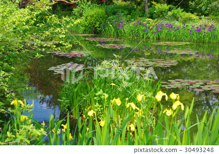 莫奈的花園 莫奈的花園 30493248