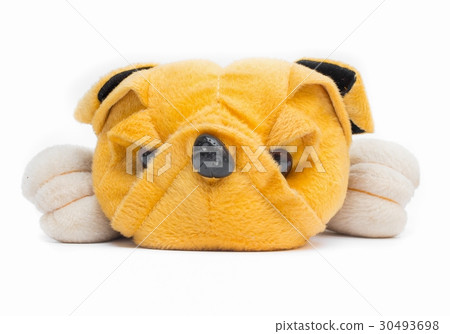 toy dog on white background toy dog on white background 30493698