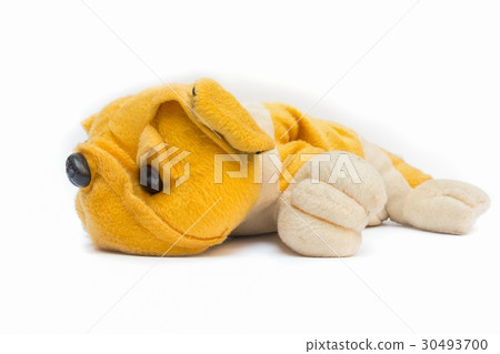 toy dog on white background 30493700