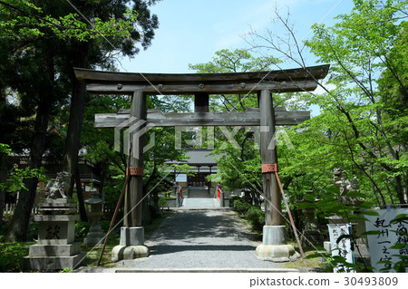 新鮮的綠色Ita Shogosa寺廟Otorii 新鮮的綠色Ita Shogosa寺廟Otorii 30493809