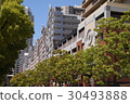 Cityscape 30493888