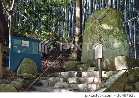 Tadano Takashi World heritage Kumano Kodo Daimonzaka 30494625