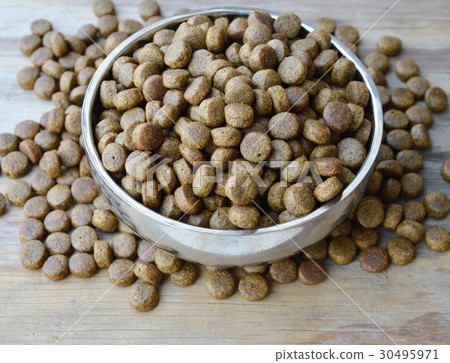 dog food in circle stainless bowl 30495971