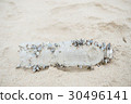 Small sea creature living on the plastic bottle 30496141