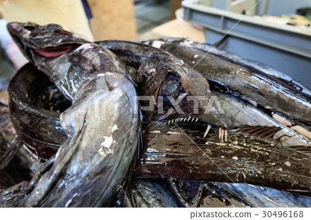 Fresh fish of Madeira market 30496168