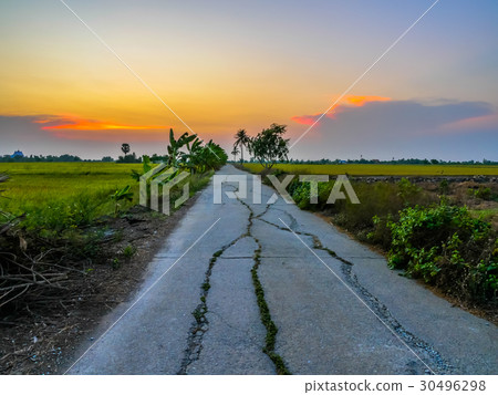 dirt roat to rice fields 30496298