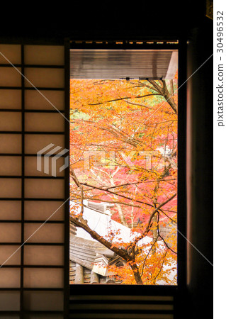 Eiken temple, autumn leaves on the picture frame of Main Hall / Amidado 30496532