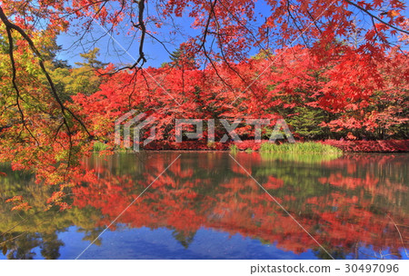 autumnページ