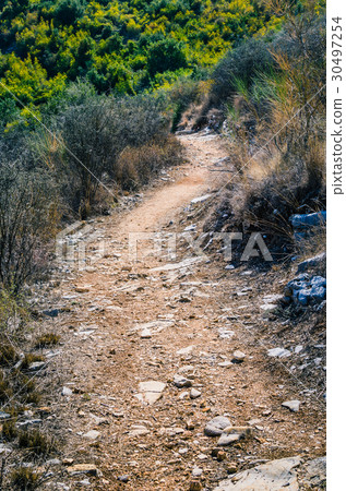 Stony path between dry bushes on Corfu island - 30497254