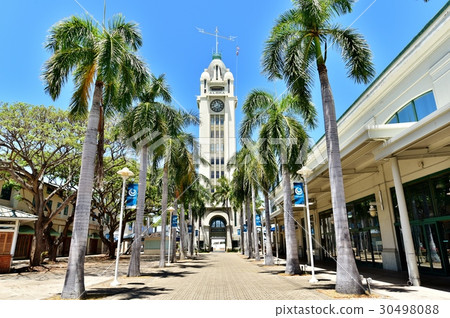 夏威夷的假期 30498088