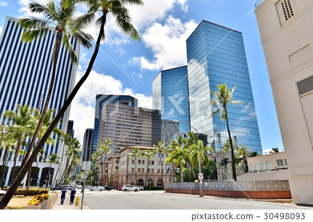 夏威夷的假期 30498093