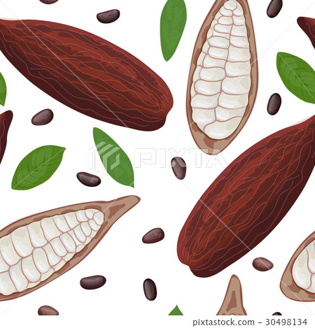 Fresh ripe Cocoa fruit seamless pattern vector Fresh ripe Cocoa fruit seamless pattern vector 30498134