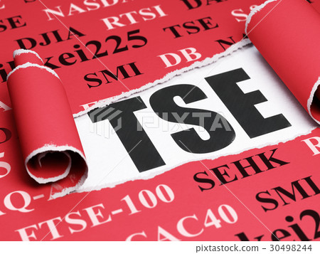 Stock market indexes concept: black text TSE under 30498244