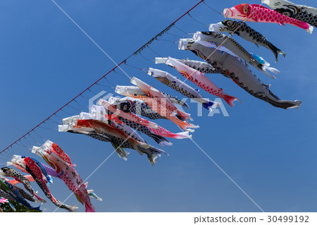 Children's Day image ~ Kimonobori Kimono Sagami River 2017 ~ 30499192