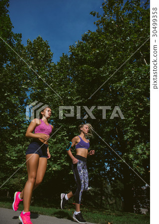 Athletic women exercising by jogging in nature Athletic women exercising by jogging in nature 30499358