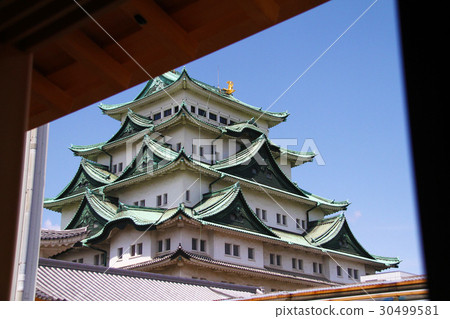 櫻花和名古屋城堡 30499581