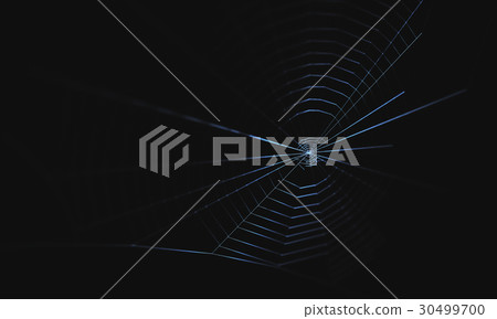 Spider Web Spider Web 30499700