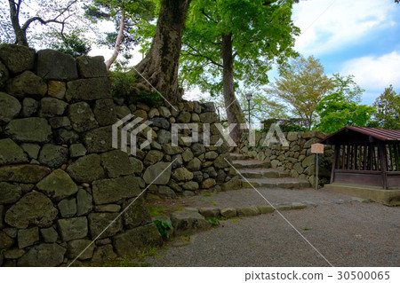 Maruokajo Followed by the gate mark Maruokajo Followed by the gate mark 30500065