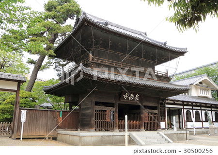 泉岳寺 30500256