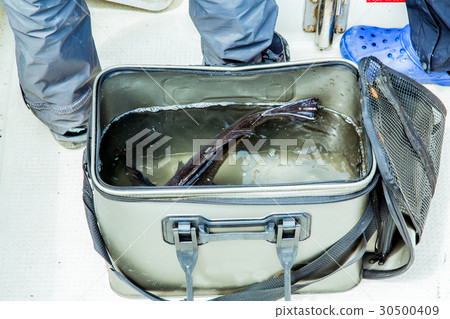  Sea fishing 30500409