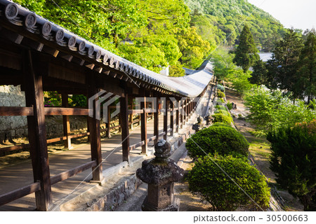 岡山市吉備津神社（國寶）的長廊和傾斜小路，以及神社內的景色。 30500663