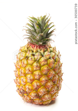 菠蘿（台灣屏東縣） 30500739