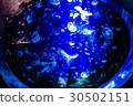 Marine moon aquarium 30502151