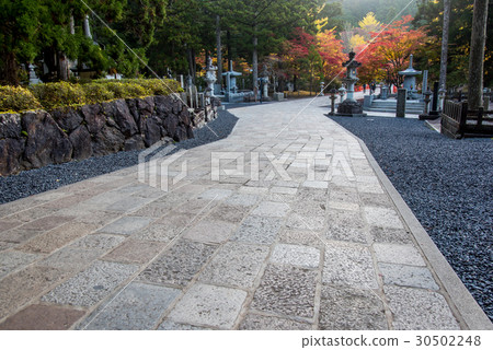 在途中的秋葉對Okunoin，Wakayama Koyasan 30502248