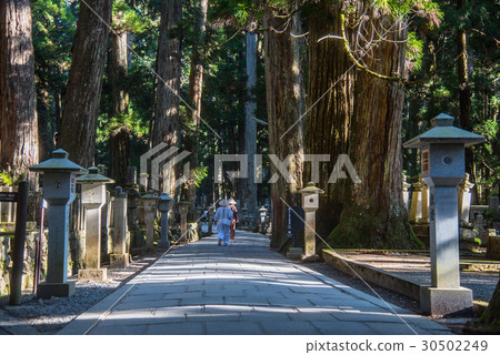 和歌山路到高野山Okunoin 30502249