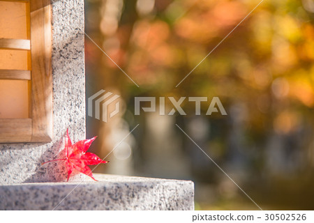 Wakayama Koyasan Okunoin前面燈籠和秋葉紅色葉子 Wakayama Koyasan Okunoin前面燈籠和秋葉紅色葉子 30502526