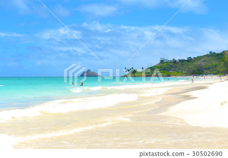 夏威夷海灘 夏威夷海灘 30502690