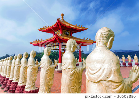 Row of golden Buddha statues 30502880