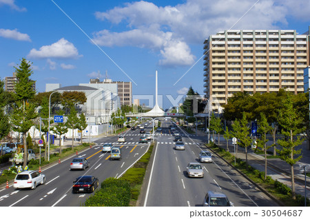 Main street in Tsukuba city 30504687