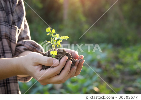 Soil cultivated on hand agriculture concept. Soil cultivated on hand agriculture concept. 30505677