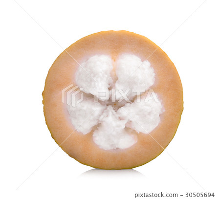 half of santol fruit isolated on white background half of santol fruit isolated on white background 30505694