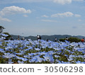 Sera Nemophila 6 30506298