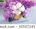 purple white flower spring decoration 30507245