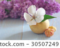 white flower still life vintage background 30507249