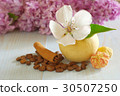 coffee beans still life background 30507250