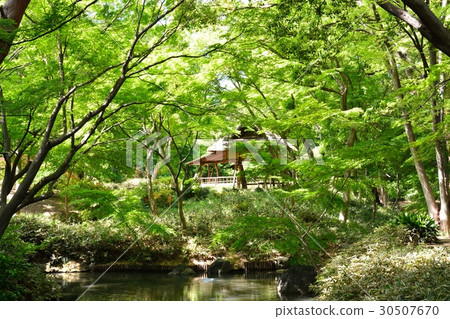 Fresh green Rokugien 30507670