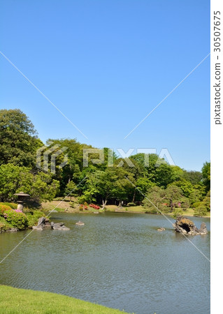 Fresh green Rokugien 30507675