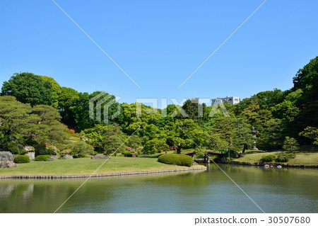 Fresh green Rokugien 30507680