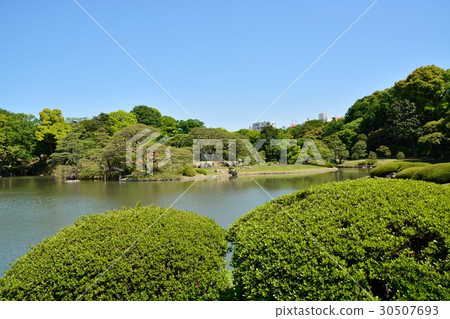 新鮮的綠色Rokugien 新鮮的綠色Rokugien 30507693