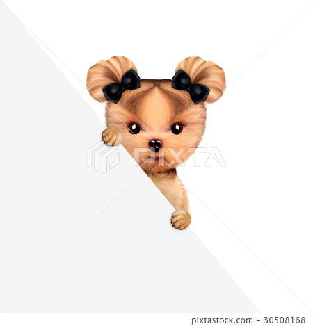 Funny puppy holding empty banner 30508168