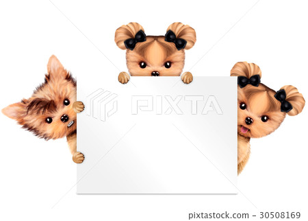 Funny couple of puppies holding empty banner 30508169